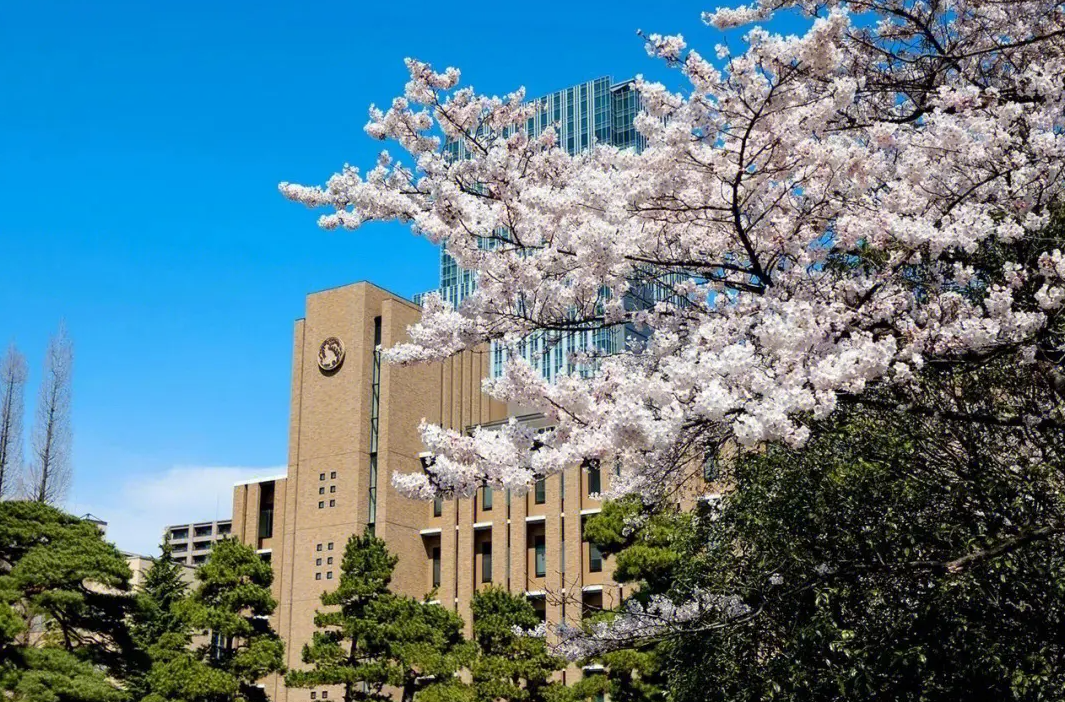 日本东北大学入学申请需要满足哪些条件？