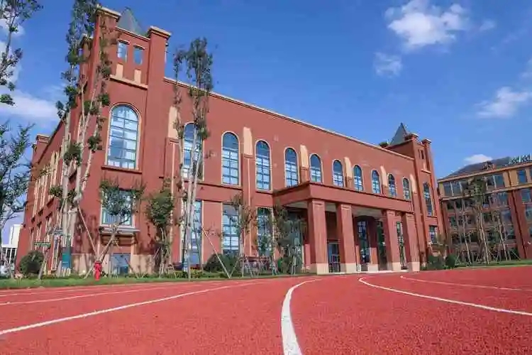 初中就读国际学校可以吗?