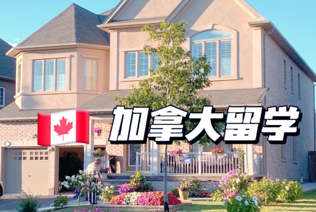 申請加拿大本科推薦哪些專業?